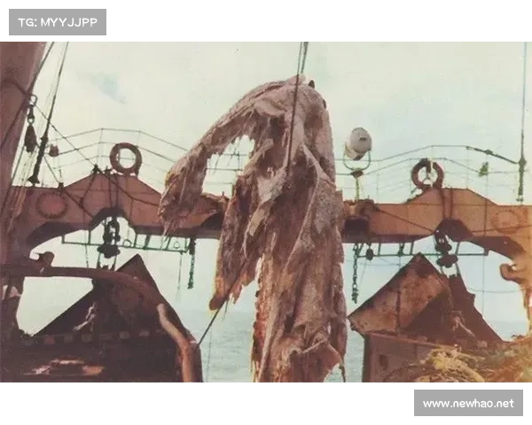 绿色囚笼突围指南：解密逃离神秘卧室