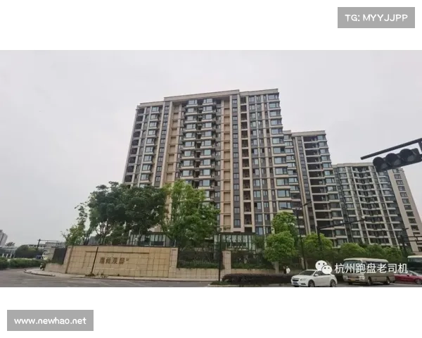 荒野乱斗:艾德加独闯单机,狂刷BOSS 荒野乱斗:艾德加独闯单机,狂刷BOSS